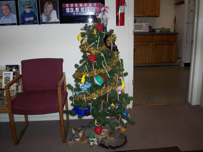 TREE 2009 1