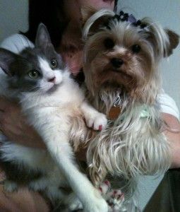 pow winners pic 4 1712