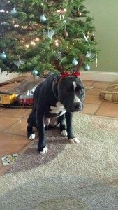 2012-12-09_14-07-32_350 (1)