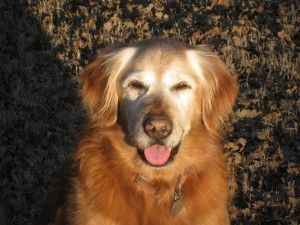 CAPTIAN SIERRA RANGER 002