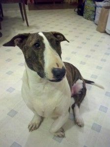 2013-10-07_19-32-18_599