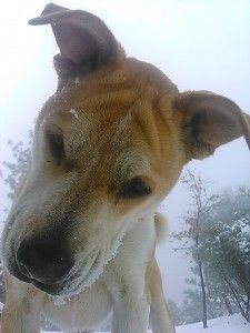 IMG_20131207_094140_677